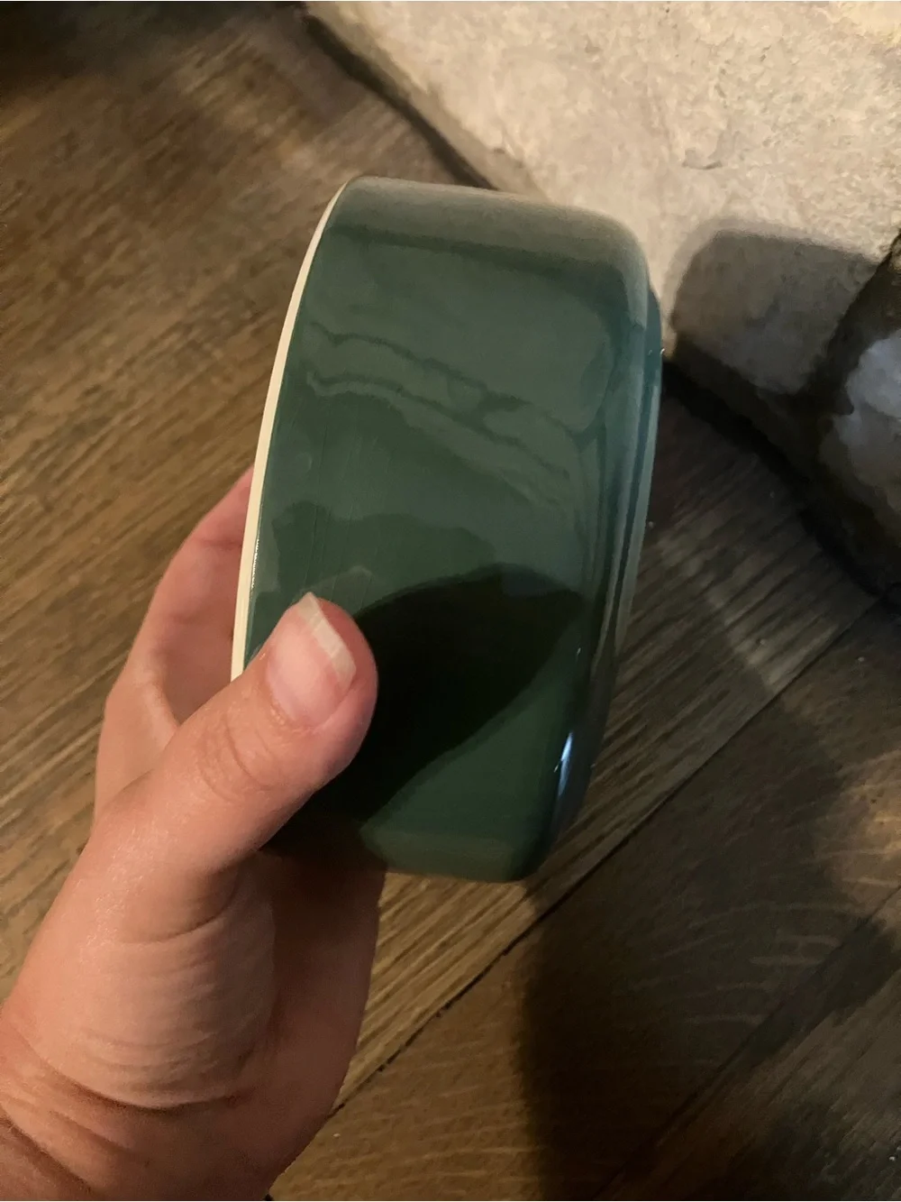 Mason Cash ceramic dog bowl featuring a Labrador retriever- Rare dark green